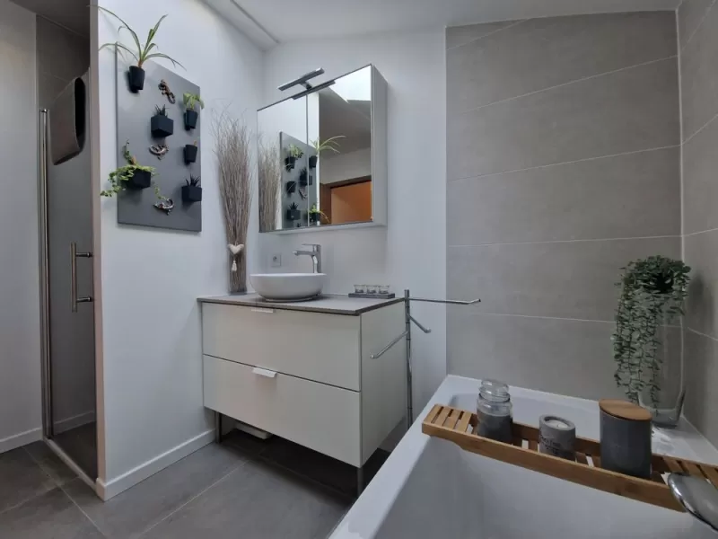Pose de sanitaires, Limonest, Romain Petel