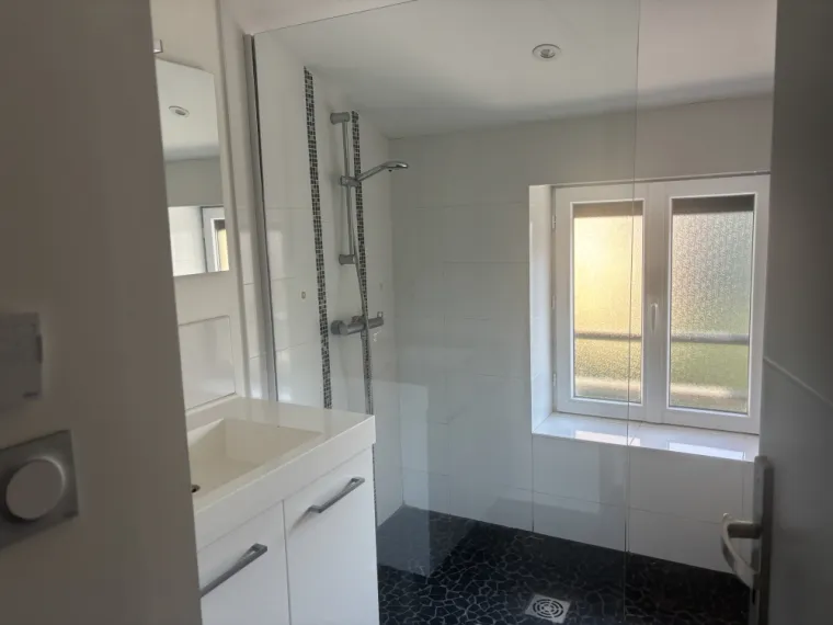 Suite à une fuite sous une douche italienne à Villefranche sur Saône, L'Arbresle, Romain Petel